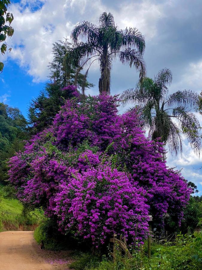 Canto Das Aguas Alagoa Kültér fotó